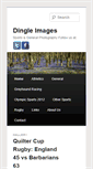 Mobile Screenshot of dingleimages.com