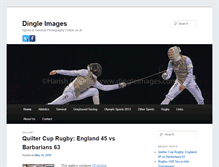 Tablet Screenshot of dingleimages.com